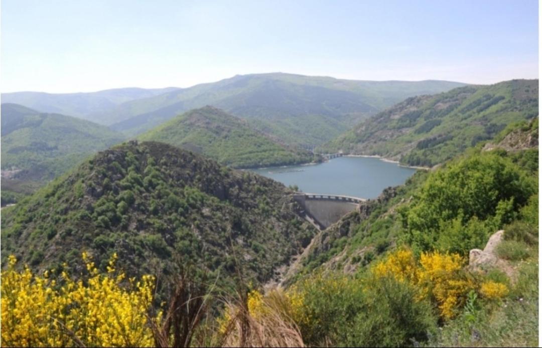 Sur Les Rochers Du & Location-rando En Vtt *